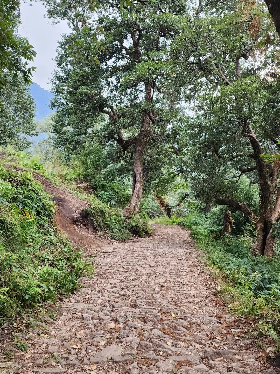 madhmaheshwar tour package